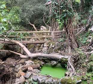Ein Stück vom Wanderpfad 
