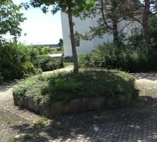 Pfarrkirche St. Sola Kösingen