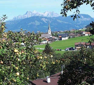 Aussicht auf Ellmau von Hartkaiserbahn
