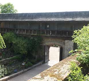 Die Kurfürstliche Burg Eltville