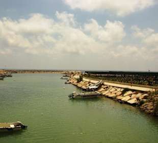 Am Hafen von Evrenseki Ende Mai