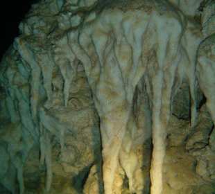 Tauchen in Boca Chica mit Caribbean Divers