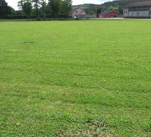 Sportplatz Dettlingen