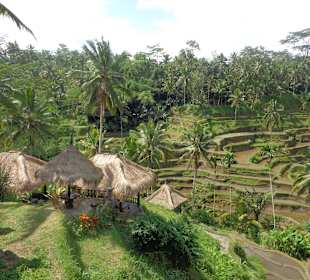 Blick auf die Terrassen