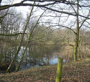 Wunderschöne Boberger Niederung