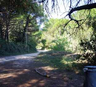 Fußweg im hinteren Bereich