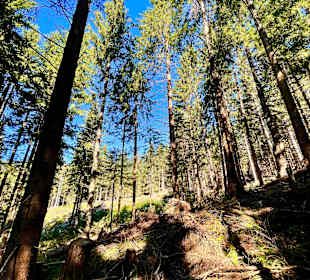 Wandern Diex