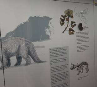 Naturkundemuseum