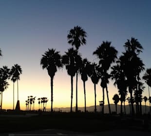 Venice Beach