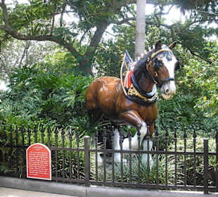 Clydesdale Statue