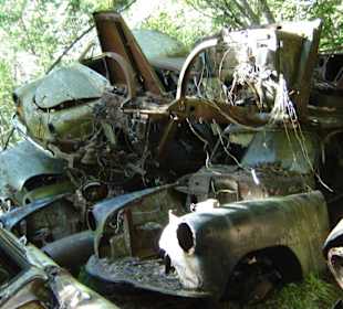 Autofriedhof am Foxen