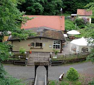Die Waldgaststätte vom Turm aus gesehen