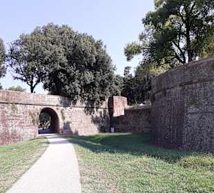 Stadtmauer Lucca