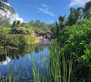 Weg vom Grand zum Petit Anse