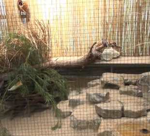 Kleinsäuger + Vogelhaus