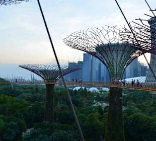 Gardens by the Bay