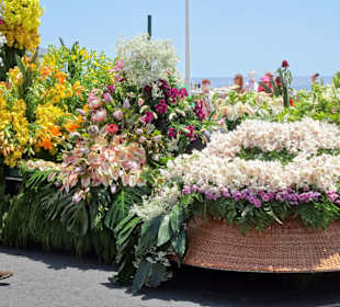 Umzugswagen des Blumenfestivals