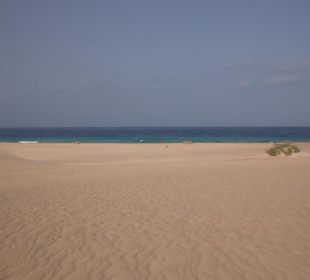 Sanddünen Corralejo