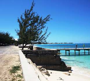 Im Bereich des National Parks