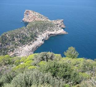 Son Marroig - Punta de Na Foradada