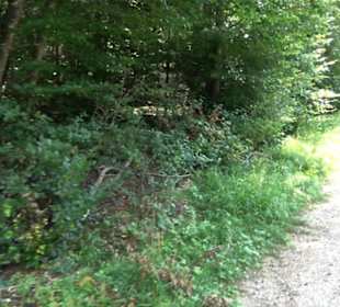 Premiumwanderweg "hochgesprudelt"