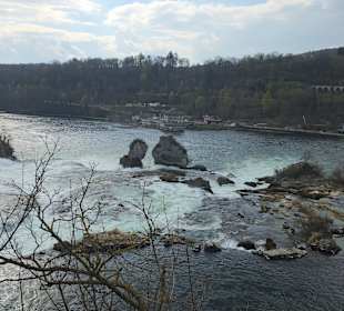 Rheinfall