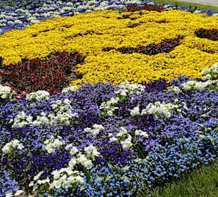 Botanischer Garten München