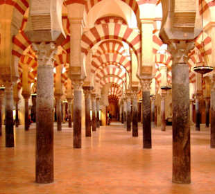 Mezquita - Säulenwald (1)