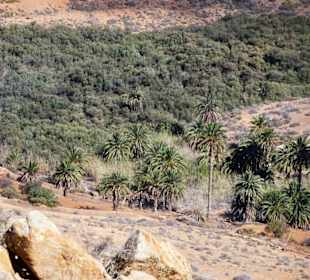 Der Blick vom Mirador Risco de las Peñas