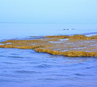 Strand in Bibione Juni 2012