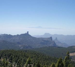 Die "Cumbres" mit Teide im Hintergrund