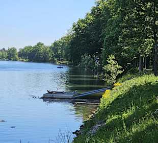 Vogelrastplatz