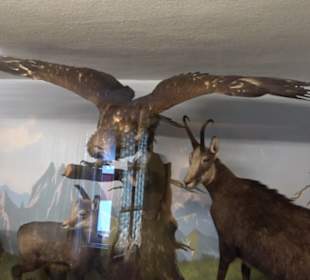 Heimatmuseum Oberstdorf