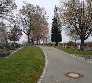 Friedhof Belsen