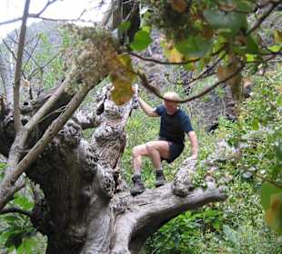Helmut in der Höllenschlucht
