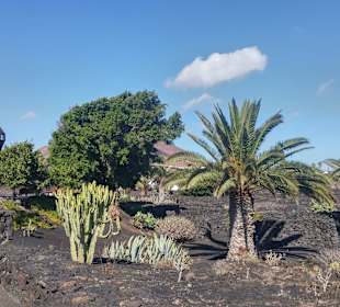 Garten und Außenanlage