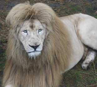 Vom Bus raus geknippst