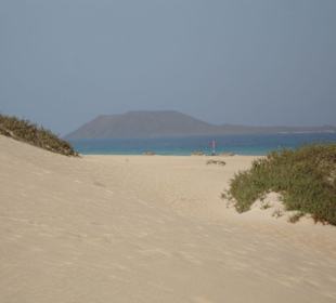 traumhafte Landschaft