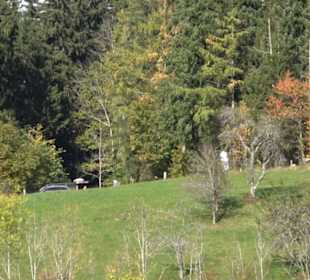 Geschichtslehrpfad Streichen