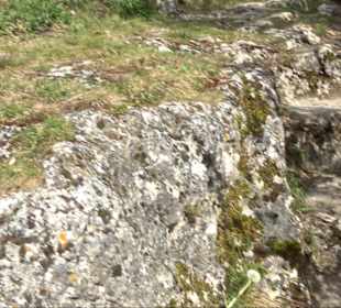 Wallersteiner Felsen