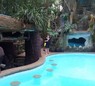 Pool im Baumhaushotel