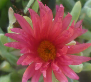 Piękna przyroda na trasie przejazdu