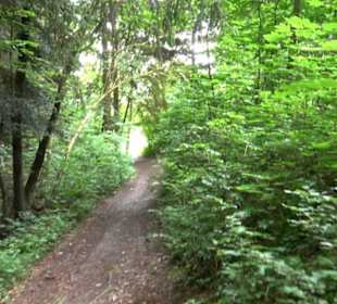 Wanderweg - Alter Steinbruch Pfaffenberg Runde