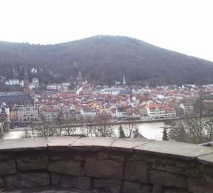 Blcik von Aussichtsturm gegenüber vom Schloss