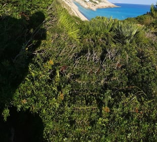 Wandern Cala Ratjada