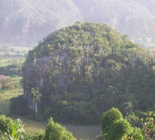 Mogote im Vinales-Tal