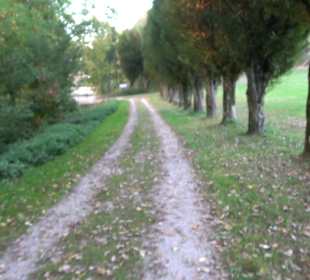 Geistliches Zentrum Kloster Heiligkreuztal Altheim