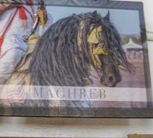 Eines der Bilder im Museum 