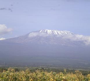 Blick auf den Kilimanjaro