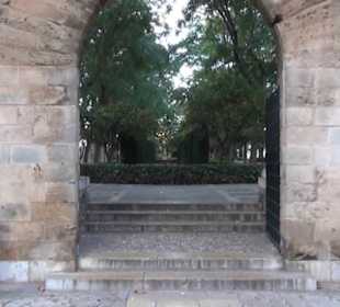 Königsgarten S'Hort del Rei